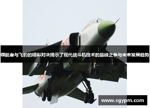 领航者与飞豹的精彩对决揭示了现代战斗机技术的巅峰之争与未来发展趋势