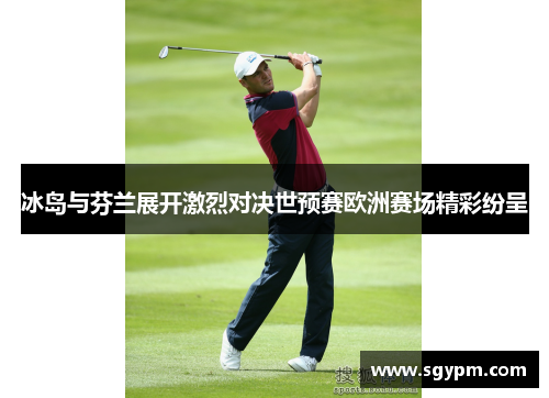 冰岛与芬兰展开激烈对决世预赛欧洲赛场精彩纷呈