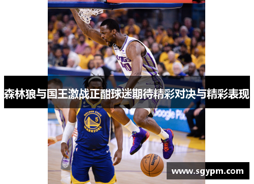 森林狼与国王激战正酣球迷期待精彩对决与精彩表现
